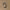 https://res.cloudinary.com/billionhands/image/upload/v1780713596/items/si174wlen54w3ijdpdic.jpg-1cover