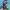 https://res.cloudinary.com/billionhands/image/upload/v1780714154/items/evpmzniupqdpy5hrfgy3.webp-2cover