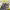 https://res.cloudinary.com/billionhands/image/upload/v1780714797/items/qstr3wm5eigw0gccwyry.jpg-0cover