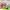 https://res.cloudinary.com/billionhands/image/upload/v1780716857/items/xc7hkeuqz31vxmdbcqlq.jpg-1cover