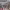 https://res.cloudinary.com/billionhands/image/upload/v1780716859/items/zo48gd1ye9cywj0apk3f.webp-2cover