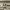 https://res.cloudinary.com/billionhands/image/upload/v1780716862/items/l6kumfuhtnnhewlnrsla.jpg-3cover