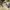 https://res.cloudinary.com/billionhands/image/upload/v1780717157/items/gtcgbkfigedk4zstzemb.jpg-2cover