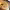 https://res.cloudinary.com/billionhands/image/upload/v1780718139/items/crjfl86scbeflqxcei1d.jpg-2cover