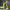 https://res.cloudinary.com/billionhands/image/upload/v1780719564/items/ipsxtjqnemltoybph5kh.jpg-2cover