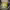 https://res.cloudinary.com/billionhands/image/upload/v1780720647/items/euwlsxuvvu6e1fdjn3ud.jpg-1cover