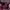 https://res.cloudinary.com/billionhands/image/upload/v1780720789/items/piyoto92qwgkyvfk9gje.jpg-0cover