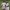 https://res.cloudinary.com/billionhands/image/upload/v1780720897/items/h9drzlsahz8vnxfdwzdw.jpg-2cover