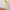 https://res.cloudinary.com/billionhands/image/upload/v1780720918/items/co3u0qv0grkbag3yhcpt.webp-3cover