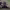 https://res.cloudinary.com/billionhands/image/upload/v1780721010/items/db6n01jo0bpookjwwpsr.jpg-3cover