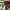 https://res.cloudinary.com/billionhands/image/upload/v1780721851/items/ubrwgnndp4hmekg66iyq.webp-1cover