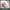 https://res.cloudinary.com/billionhands/image/upload/v1780722094/items/nmmwqtincidapcefyscj.webp-1cover