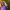 https://res.cloudinary.com/billionhands/image/upload/v1780722757/items/ojvjbiywncdafm6cuwdb.jpg-3cover