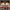https://res.cloudinary.com/billionhands/image/upload/v1780722944/items/poqfvy3comkdr4labtvw.jpg-0cover