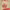 https://res.cloudinary.com/billionhands/image/upload/v1780724750/items/pfxbh5cdsfe4ezprbzux.jpg-1cover