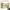 https://res.cloudinary.com/billionhands/image/upload/v1780725353/items/fgdtuuh2wyf2fgd37nhl.gif-3cover