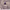 https://res.cloudinary.com/billionhands/image/upload/v1780725683/items/jf6bia81k4uolcy6iy52.jpg-1cover