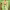 https://res.cloudinary.com/billionhands/image/upload/v1780725685/items/fyrltk2hsyuz6m4gpab9.jpg-2cover