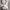 https://res.cloudinary.com/billionhands/image/upload/v1780728483/items/mvqep4dqfdm3xmy9ugi3.webp-0cover