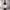 https://res.cloudinary.com/billionhands/image/upload/v1780729778/items/lczaayc20mn7owepjmtk.webp-2cover
