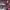 https://res.cloudinary.com/billionhands/image/upload/v1780729890/items/uasuwyeplwhfke6s3hlc.jpg-3cover