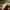 https://res.cloudinary.com/billionhands/image/upload/v1780729892/items/mvgozyaadr69vl0e7vek.webp-2cover