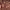 https://res.cloudinary.com/billionhands/image/upload/v1780731592/items/zyrk4krygnvecixrc8gl.jpg-0cover