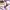 https://res.cloudinary.com/billionhands/image/upload/v1780732184/items/f634v3xew1jufjsqoo90.jpg-3cover