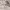https://res.cloudinary.com/billionhands/image/upload/v1780733258/items/vumocka22zslltgavqyk.jpg-1cover