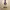 https://res.cloudinary.com/billionhands/image/upload/v1780733328/items/d9spykpkpnihkr4e6uw4.jpg-2cover