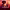 https://res.cloudinary.com/billionhands/image/upload/v1780734194/items/xvbwqzk4klqjvstrhv6h.jpg-3cover