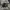 https://res.cloudinary.com/billionhands/image/upload/v1780734953/items/cyd04zb1pcc24ubfage1.jpg-0cover