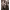https://res.cloudinary.com/billionhands/image/upload/v1780734956/items/nolbbpcmrrrmah3woqag.webp-3cover