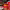 San Miguel Productos Mexicanos cover