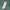 https://res.cloudinary.com/billionhands/image/upload/v1780736091/items/t3adadglndolkiqkvisk.webp-3cover