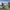 https://res.cloudinary.com/billionhands/image/upload/v1780738549/items/ofpbggen7imrshpnemyz.webp-2cover