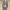 https://res.cloudinary.com/billionhands/image/upload/v1780739786/items/irfla2ooeb006zub8o53.png-2cover