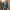 https://res.cloudinary.com/billionhands/image/upload/v1780739787/items/phdrmr1prbv7isfvjsgx.jpg-3cover