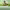https://res.cloudinary.com/billionhands/image/upload/v1780740576/items/vm9djxho7zkwsci2evjk.webp-3cover