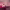 https://res.cloudinary.com/billionhands/image/upload/v1780740612/items/moko6fcjechjodesxmo2.png-0cover