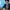 https://res.cloudinary.com/billionhands/image/upload/v1780740615/items/swhfqhwhhtl14wskgnp4.webp-1cover