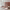 https://res.cloudinary.com/billionhands/image/upload/v1780742333/items/gbmsesetyo3vjjvalkdq.png-3cover