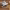 https://res.cloudinary.com/billionhands/image/upload/v1780743054/items/hoy5kofoxcfsm4zyvey0.webp-0cover