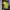 https://res.cloudinary.com/billionhands/image/upload/v1780743151/items/ah1dsbfbdszyfdb1ypve.jpg-3cover