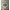 https://res.cloudinary.com/billionhands/image/upload/v1780743629/items/grul7lx7w9jnxistopdw.png-3cover