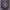 https://res.cloudinary.com/billionhands/image/upload/v1780746165/items/v7in24jsnueaan0nzbts.jpg-0cover