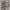 https://res.cloudinary.com/billionhands/image/upload/v1780748706/items/oiw8tehnqwpwmbqvocan.jpg-0cover