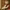https://res.cloudinary.com/billionhands/image/upload/v1780748720/items/zgdjgnstsgnnndfke5vo.webp-2cover