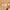 https://res.cloudinary.com/billionhands/image/upload/v1780748728/items/as7n1wcqdusuwxkm3adg.jpg-1cover