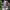 https://res.cloudinary.com/billionhands/image/upload/v1780750738/items/nlzfvnb27wqgcrh1rips.webp-1cover